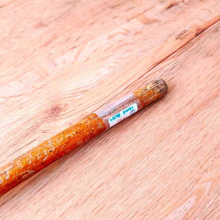 Bengala em cana de bambu com castão liso e moldado