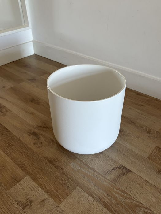 Vaso branco planta