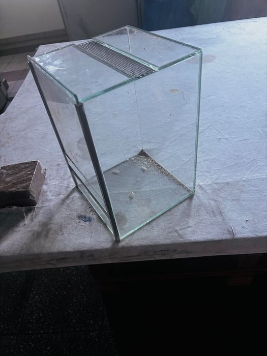 Terrarium dla patyczaków