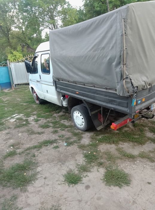 газель дует в хорошому стані