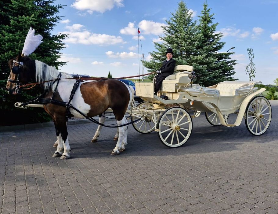 Bryczka do ślubu