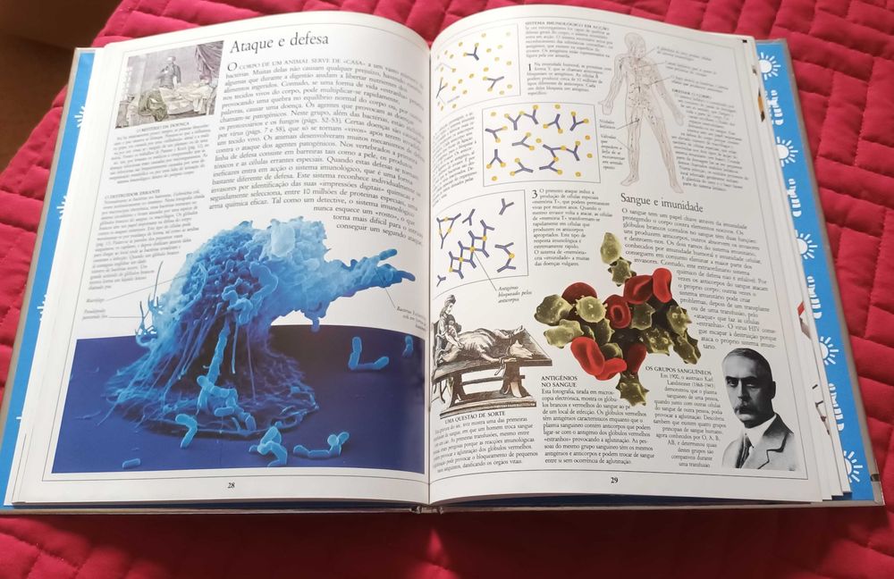 Livro "Vida" - Enciclopédia Visual Ciência