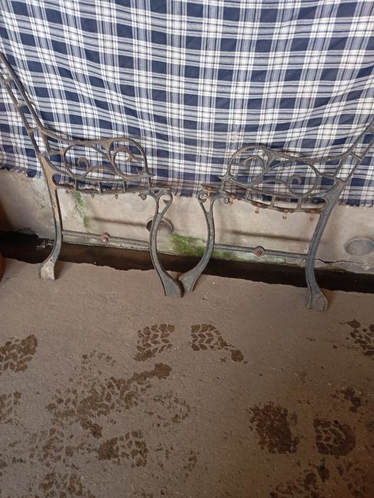 Vendo pés de brancos muito bonitos bom estado