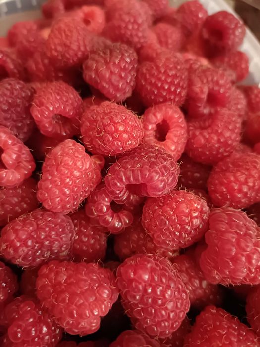 Maliny sprzedam 18 zł/kg