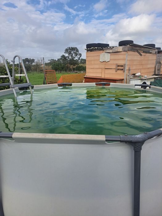 Piscina usada sem furos