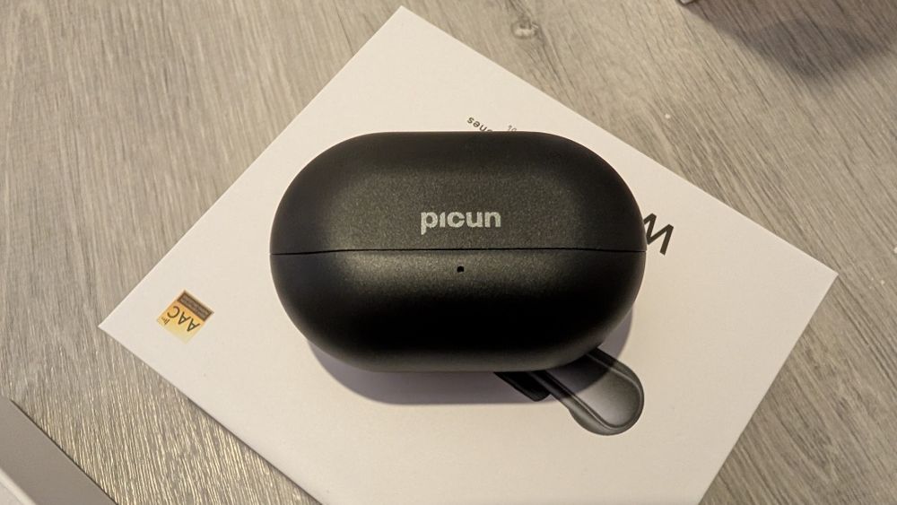 Earphones Picun Open Ear W364730205575555123