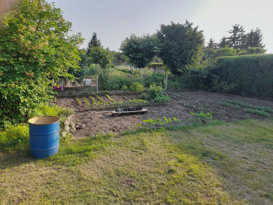 Działka rekreacyjna po ul. Ojca Pio