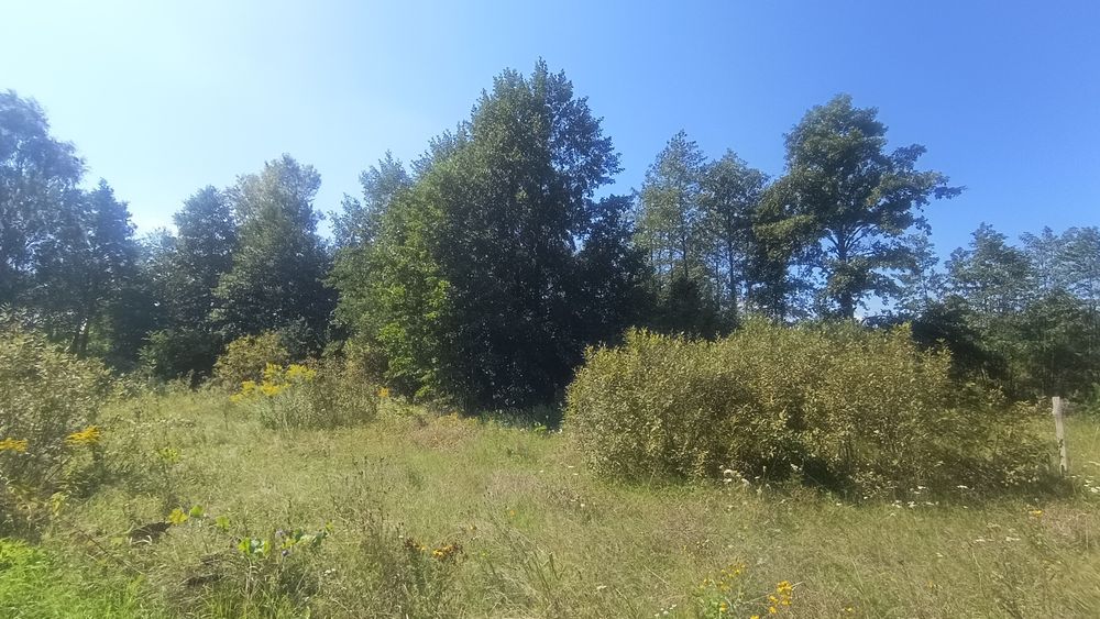 Продам ділянку в селі Соболівка Броварського району