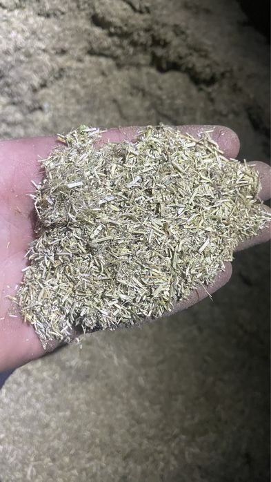 Мелена люцерка-та сіно