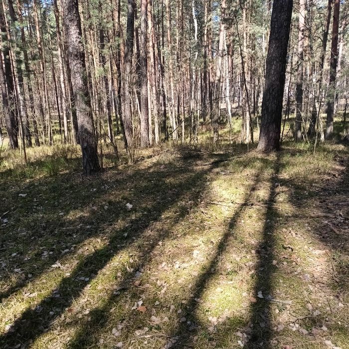 Działka  pod zabudowę jednorodzinną