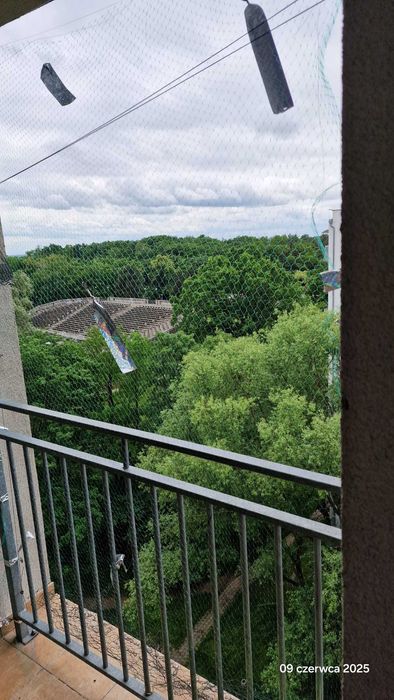 3 pokoje, jasne, obok lasu i parku. z pieknym widokiem, bez prowizji