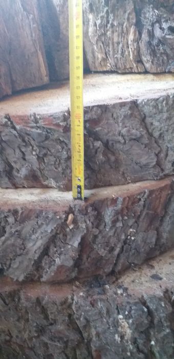 Plaster drewniany dąb, buk, kasztan