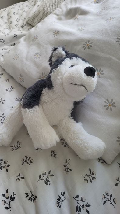 Maskotka husky Ikea