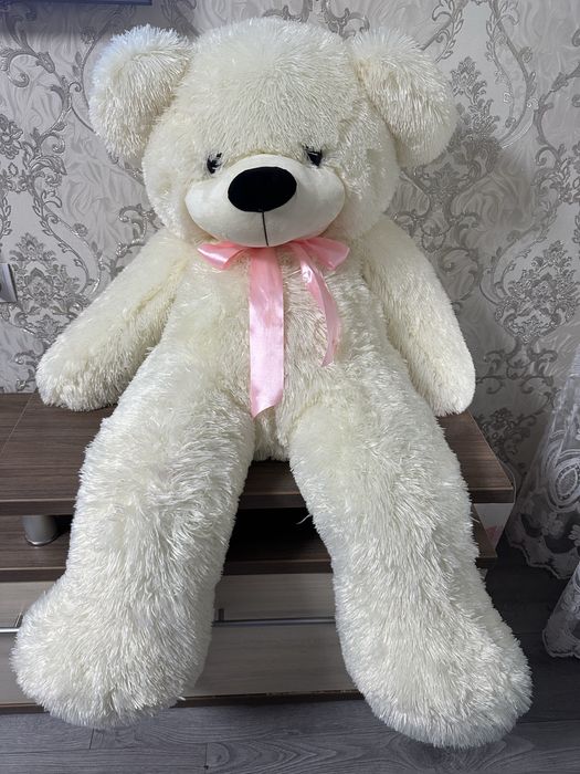 Великий ведмедик мішка