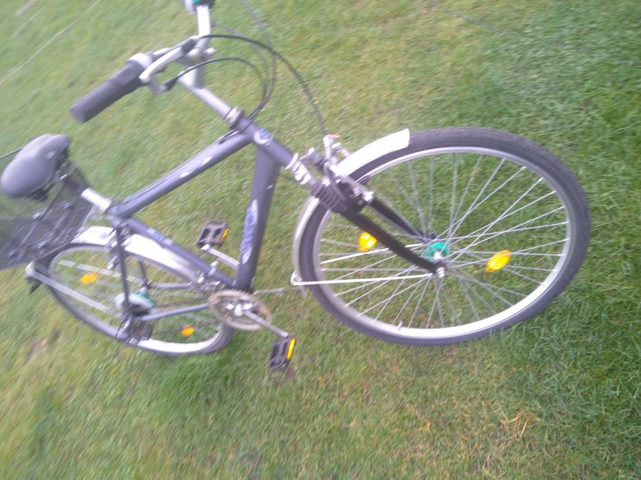 Rower Senator       .