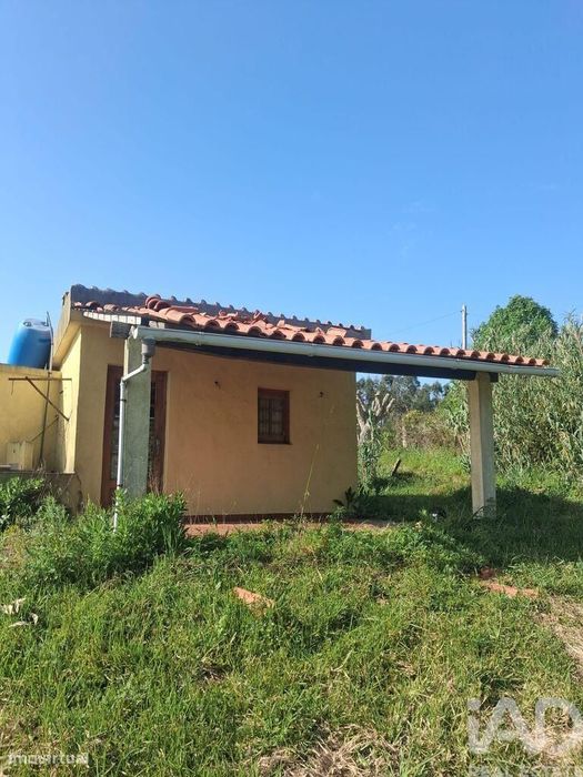 Terreno Agrícola em Alcobaça e Vestiaria