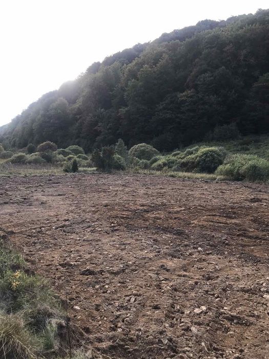 Послуги міні-екскаватора 4т , та самоскида