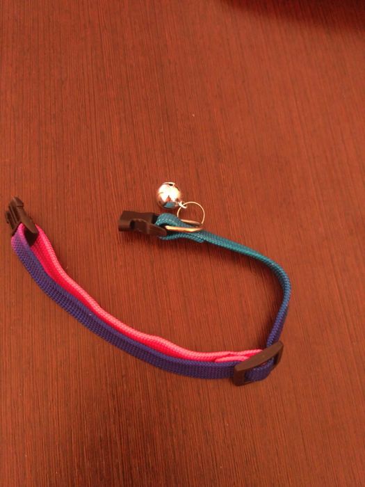 Нашийник з дзвіночком