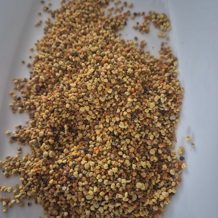 Pyłek pszczeli 1 kg