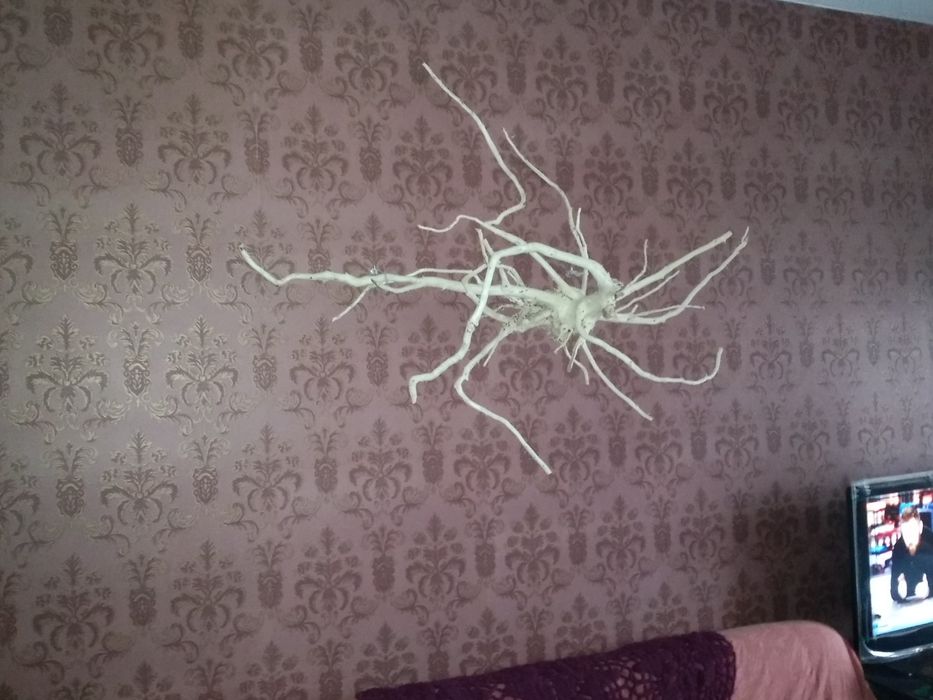 декор большая коряга натуральное дерево