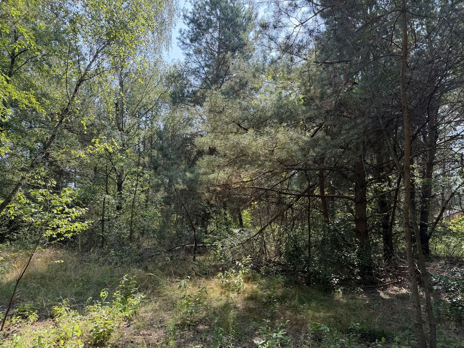 2 działki j. Białka parczerwska, zagłębocze