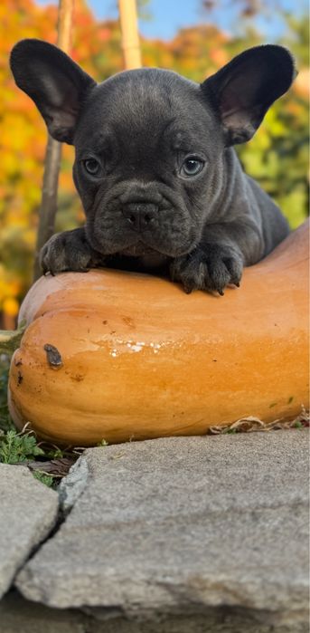 Мальчишка в голубом окрасе