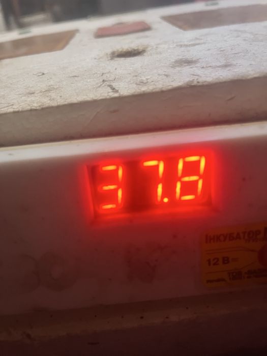 Інкубатор Квочка Мі 30-1е-12v