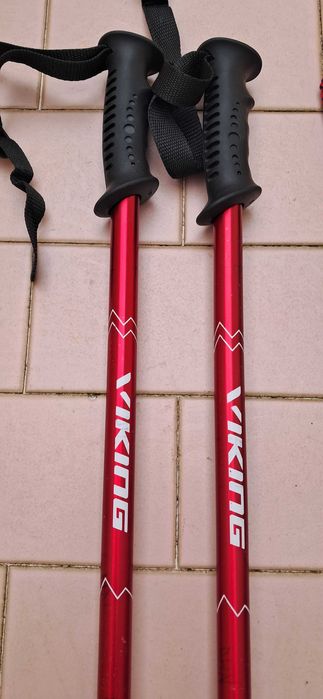 Walking Sticks445795349142579202