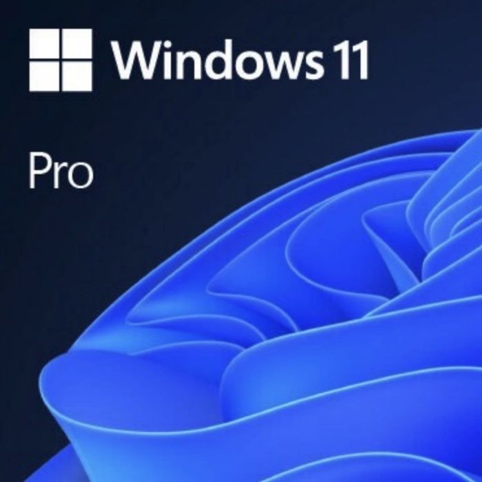 Windows 11 Pro ON-LINE