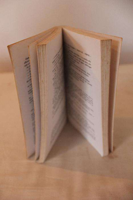 Os Três Mosqueteiros (edição juvenil)