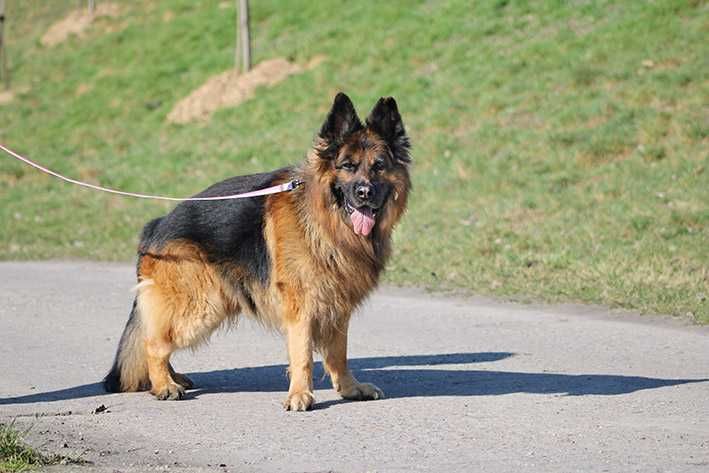 Filip szuka wspaniałego domu !