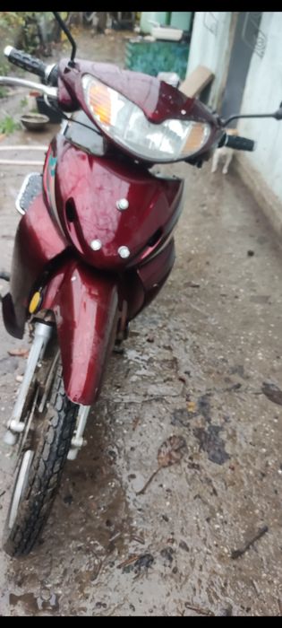 Продам мопед, Viper Active
