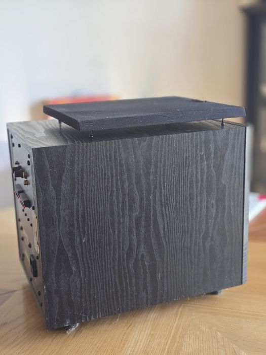 Tannoy mercury msub 10 subwoofer