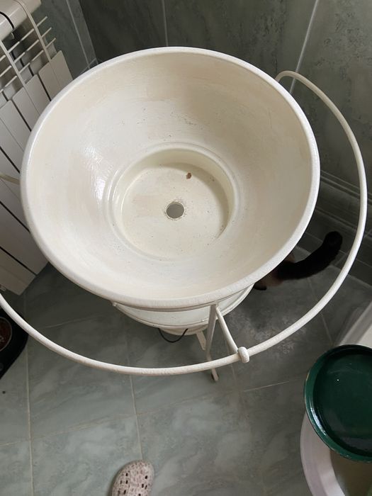 Lavatorio casa banho