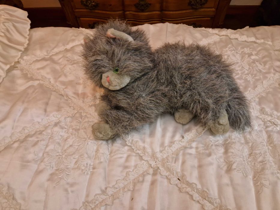 Peluches que estiveram apenas a servir de adorno