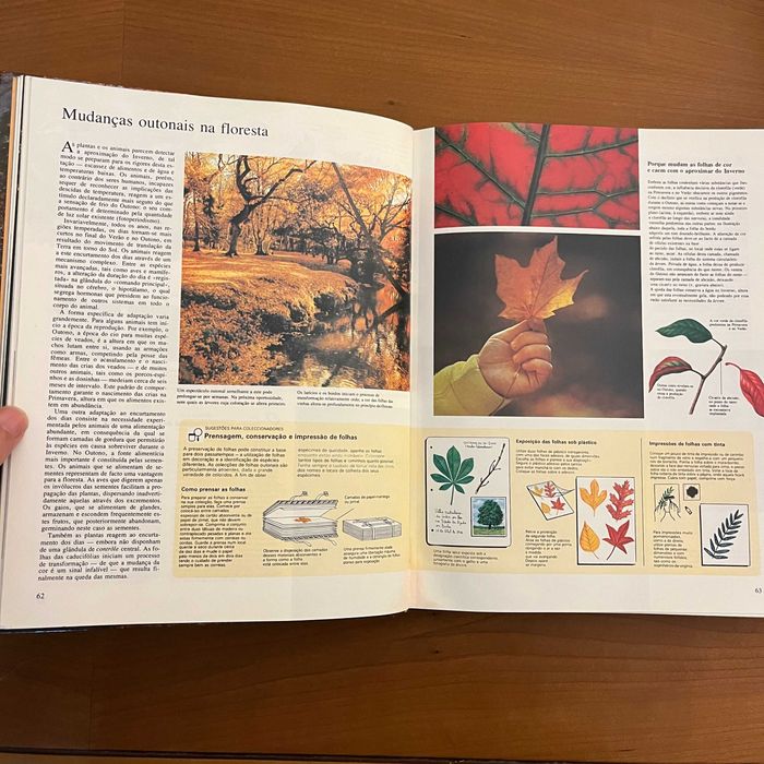 Encountering Nature64750887261185122