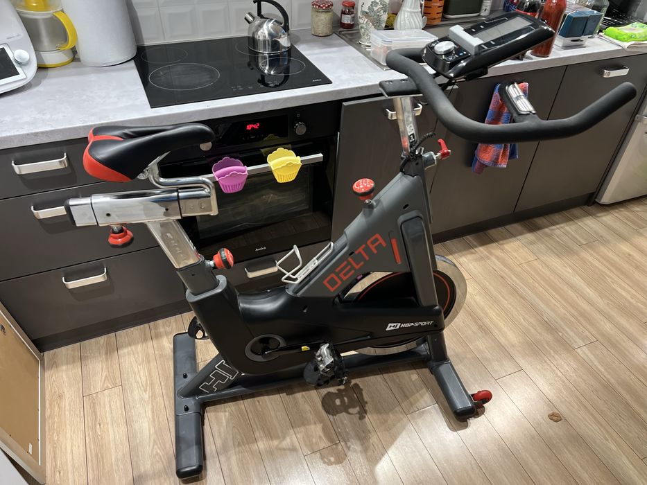 Rower spiningowy Indoor Cycling HS-065IC Delta
