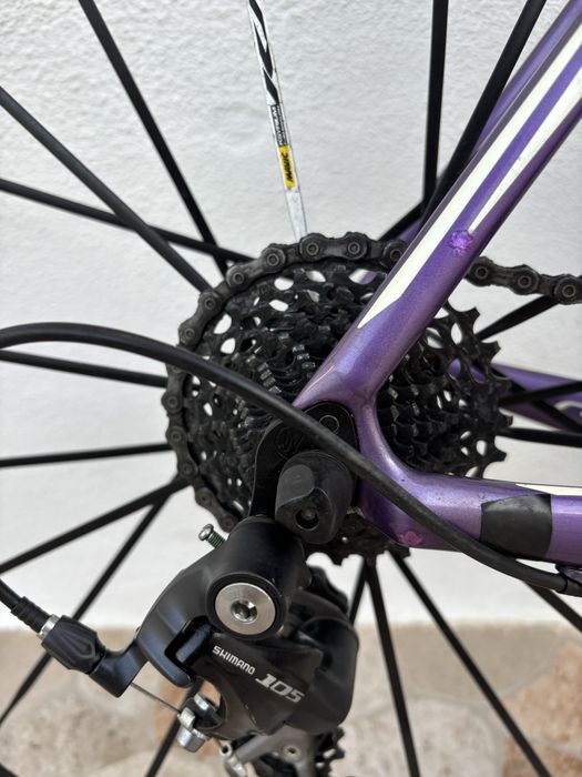 Specialized Roubaix Expert SE