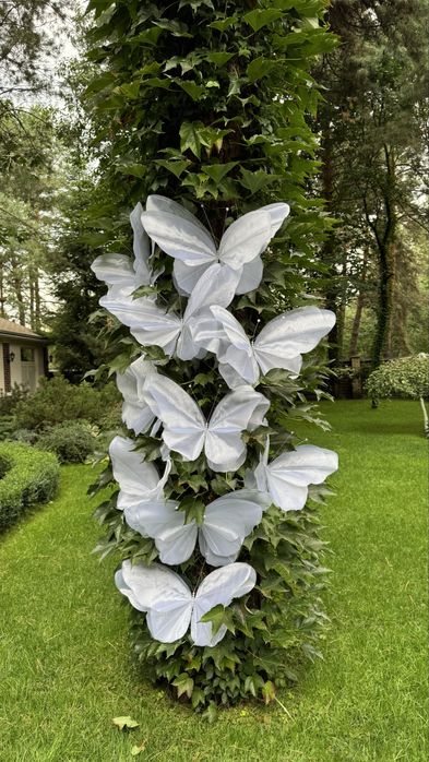 Метелики із органзи