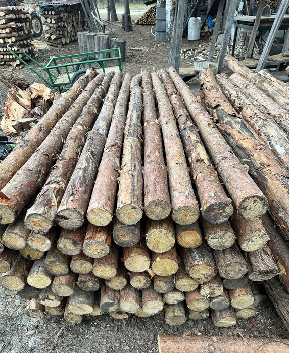 Stemple budowlane 2,5 , 3 , 3,5 i 4m kantówki kołki żerdzie