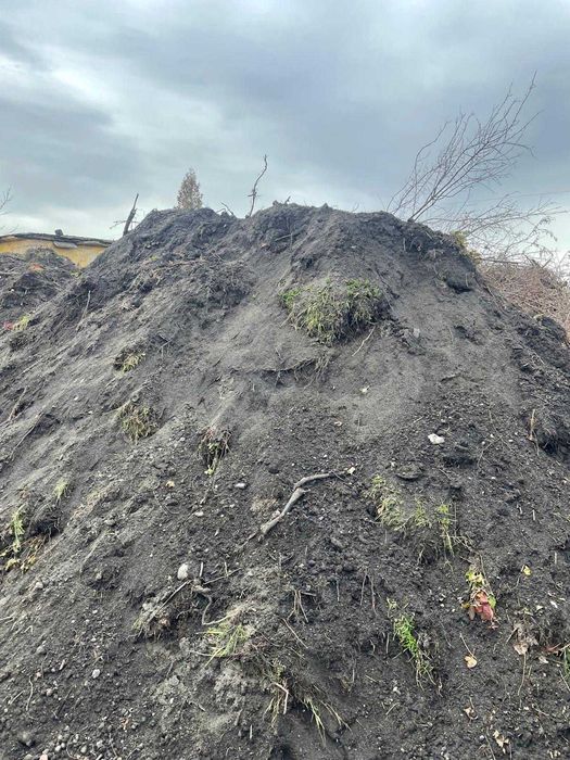 Oddam czarnoziem za DARMO