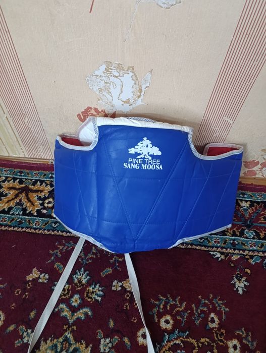 Защита живота для теквандо