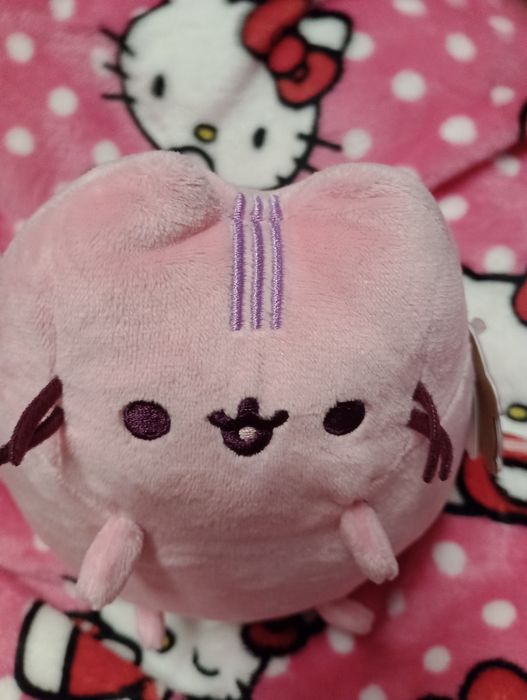 Maskotka Pusheen