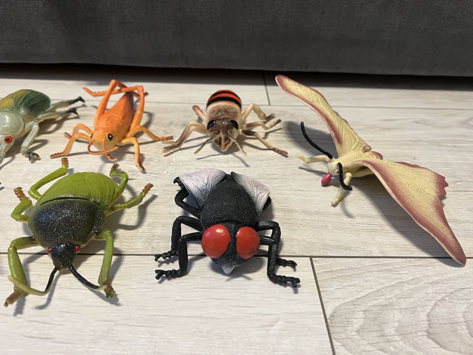 Figurki owadów, itp.