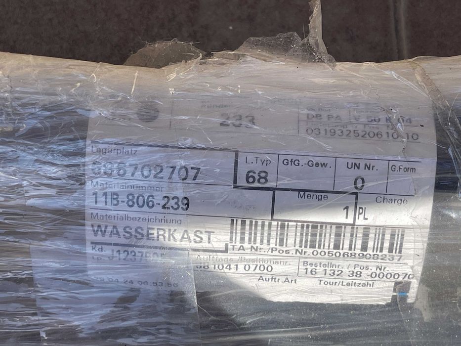 【本物】アグラオネマ　カーティシー　F株（管理番号） 本物】アグラオネマ カーティシー F株（管理番号）