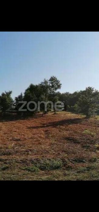 Quinta com 35000m2