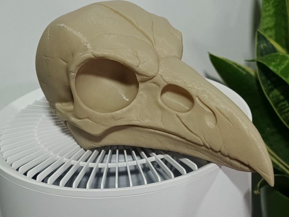 Czaszka KRUK 3d druk