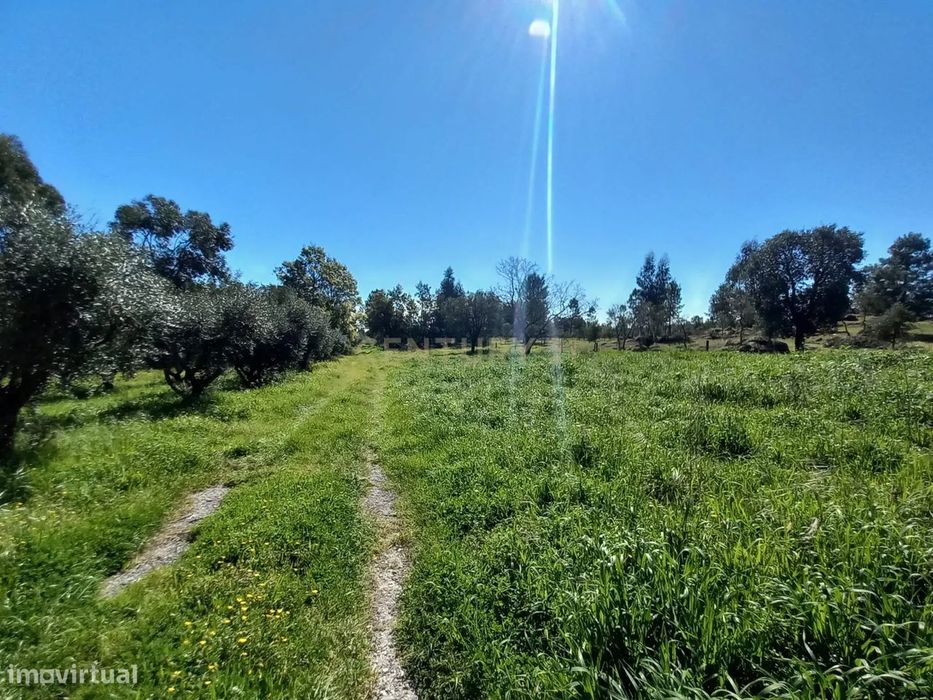 Quinta com 24750m2 Louriçal do campo