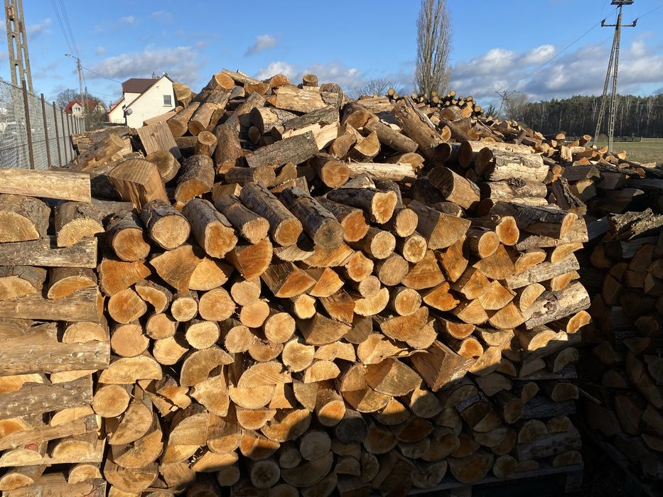 Drewno Kominkowe Drzewo Opałowe Układane Dąb Buk Sosna Grab Brzoza