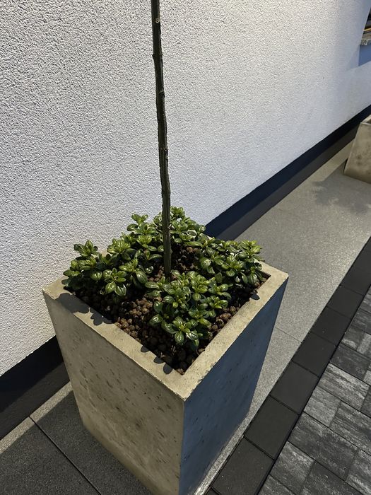 Donica betonowa architektoniczna